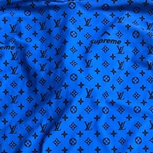 Not Authentic Supreme LV  Long Sleeve Hoodie